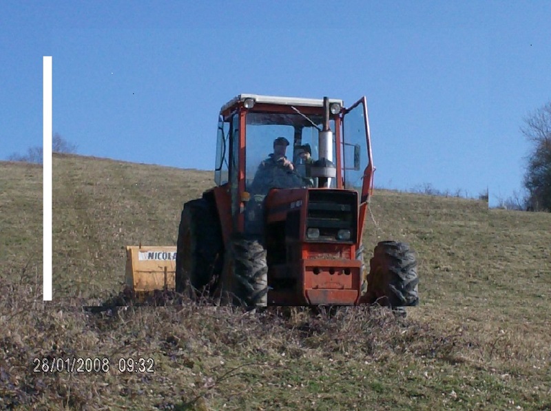 TRACTEUR + VEAUX 002.JPG