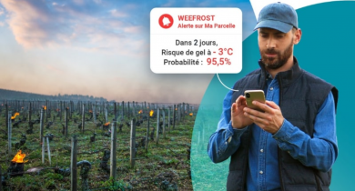 Weenat: WeeFrost, un outil prédictif contre le risque de gel en vigne et vergers 
