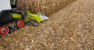 Le Corio Stubble Cracker s’occupe de détruire la pyrale.