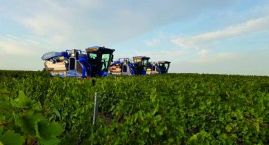 De nouvelles mailles d’égreneur pour les machines à vendanger.